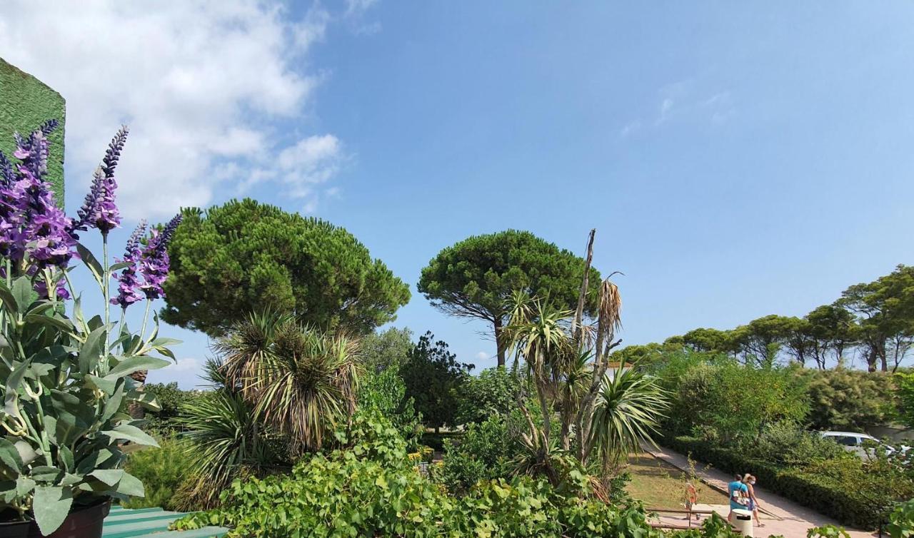 Hotel Riomar Sant Marti d'Empuries Exterior photo